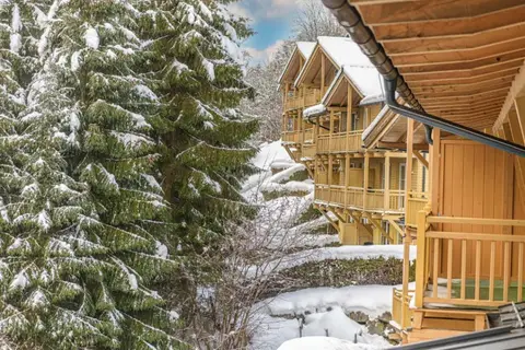 Alpenparks Appartementen en Ferienresort Rehrenberg in Viehhofen — foto 14