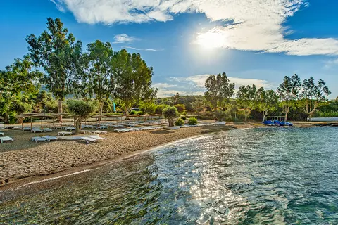 Evia Riviera Resort in Δημοτική Ενότητα Αμαρυνθίων — foto 4