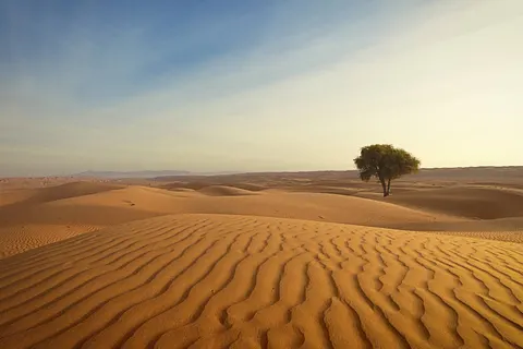 Best of Oman in Bawshar — foto 4