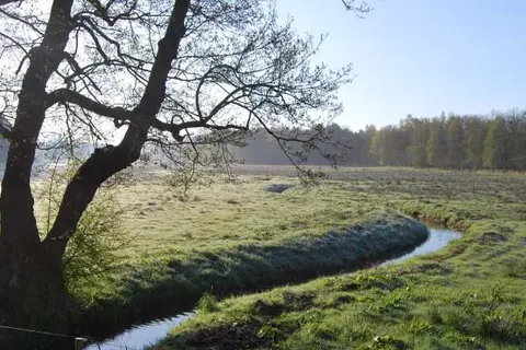 Hotel Restaurant Bitter en Zoet foto 18