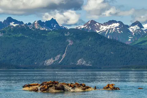 Cruise Alaska in Cruisereizen, foto 17