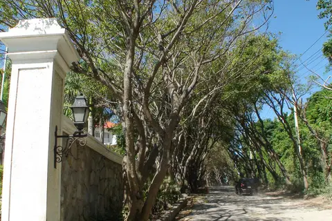 Bahia Principe Grand Samana in Samana — foto 19
