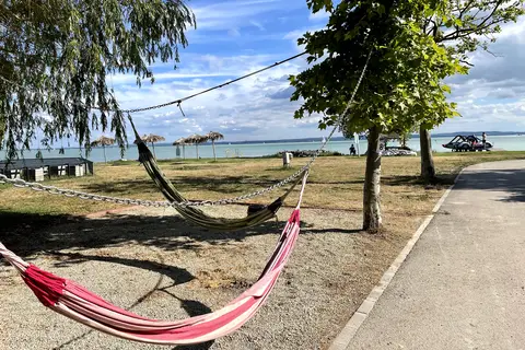 Pelso in Paloznak — foto 6