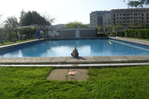 Balneario Acuña in Caldas De Reis — foto 3