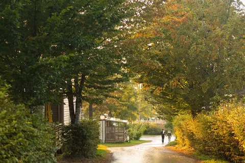 Camping Le Fayolan foto 16