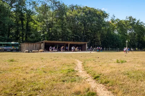Camping Ferme Pédagogique De Prunay foto 35