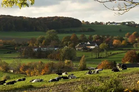 Romantik Parkhotel het Gulpdal foto 15
