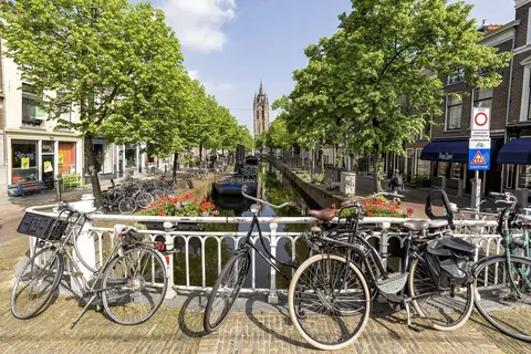 Fietscruise Zuid-Holland en omgeving foto 1