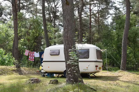 Horstmannsbos in Gasselte — foto 14