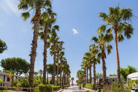 Estival Vendrell Platja in el Vendrell, foto 18