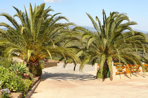 Monte da Bravura Appartement foto 4