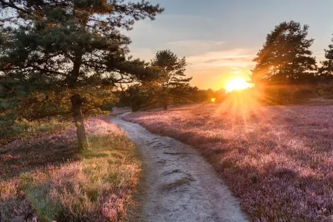 Amrâth Hotel Media Park Hilversum foto 16