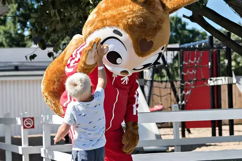 Camping Råå Vallar in Råå — foto 18