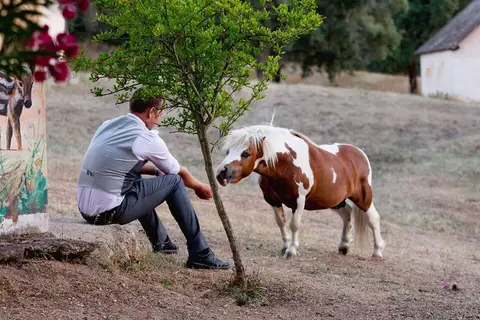 Borgo Di Campagna in Poltu San Pàulu/Porto San Paolo — foto 25