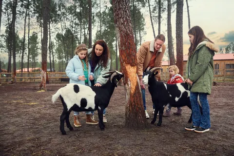 Les Landes De Gascogne foto 10