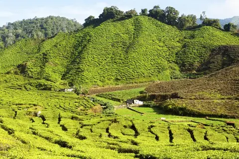 Explore Magnificent Malaysia in Kuala Lumpur, foto 6