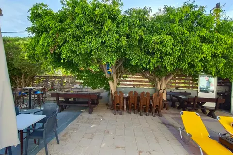 Albatross Studios and Apartments in Sunshine Studios and Apartments, foto 6