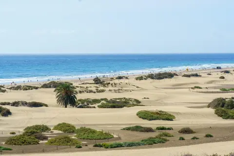 Apartamentos Don Palomon in San Bartolomé de Tirajana — foto 5