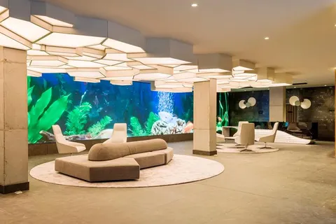 Ilunion San Mamés foto 3