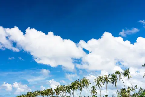 Siyam World in Noonu Atoll Education Centre — foto 20