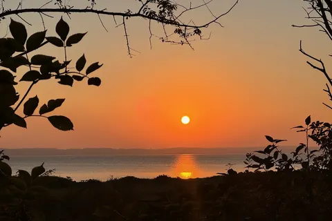 Rosenvold Strand Camping in Hedensted Municipality — foto 13