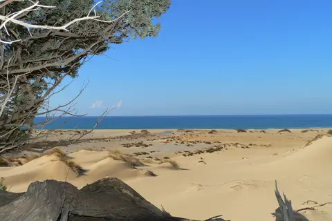 Tarthesh in Guspini — foto 14