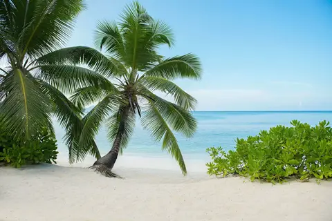 Avani+ Barbarons Seychelles in Grand Anse Mahe — foto 28