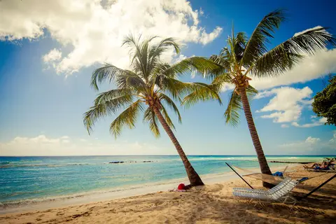 Sugar Bay Barbados in Christchurch — foto 10