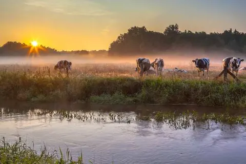 Hotel Restaurant Het Ros van Twente foto 31
