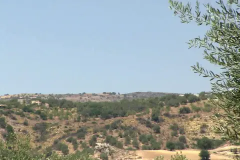 Villa Favorita Relais in Noto — foto 20