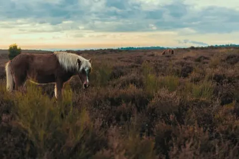 Soeren Lounge - Veluwe foto 21