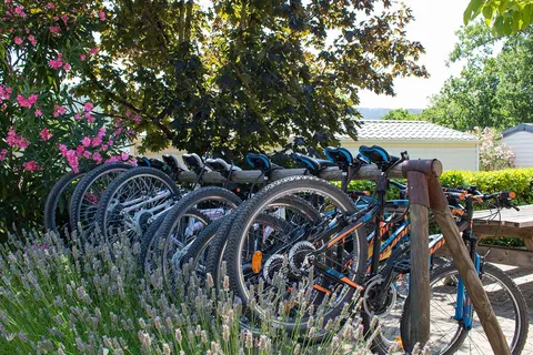 Camping La Garenne foto 8