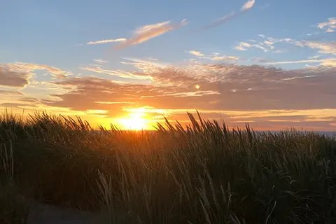 Camping Hippodroom foto 8