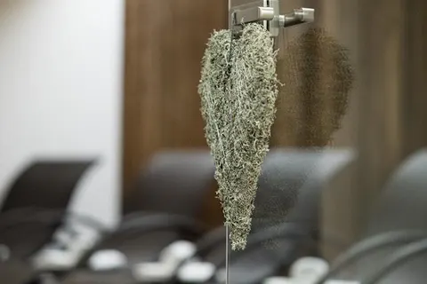 VAYA Resort St. Anton foto 24