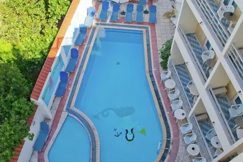 Koala in Kos-Stad — foto 7