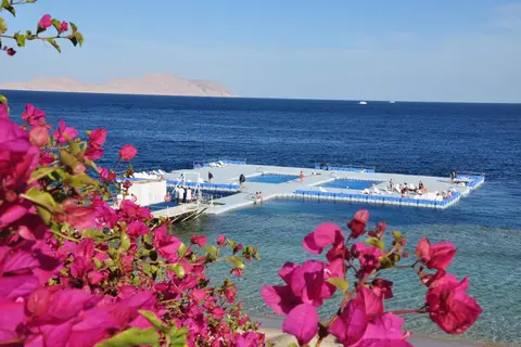 Domina Coral Bay Oasis in Sharm El Sheikh — foto 10