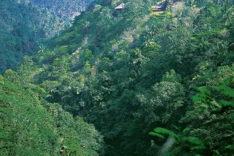 Alila Ubud in Ubud, foto 13