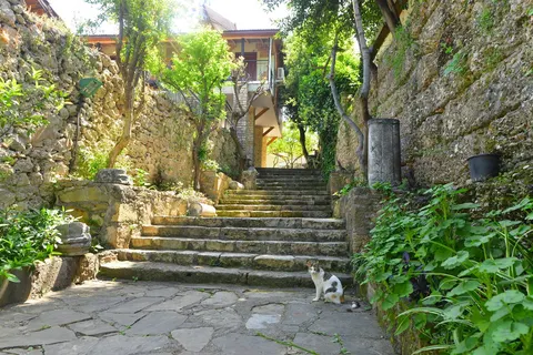 Leda Beach foto 21