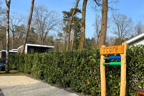 Vakantiepark De Rimboe en De Woeste Hoogte foto 30