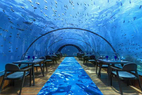 Hurawalhi Island Resort in ނައިފަރު — foto 25