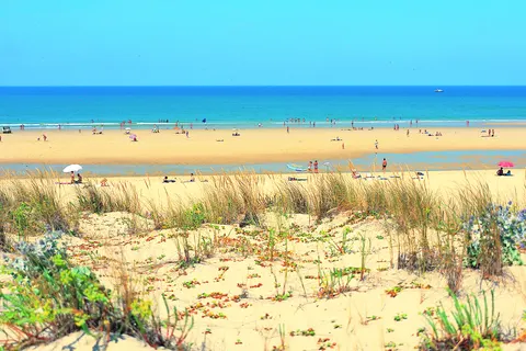 Camping Le Col Vert foto 4