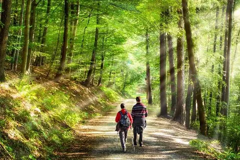 Hotel de Koppelpaarden foto 28