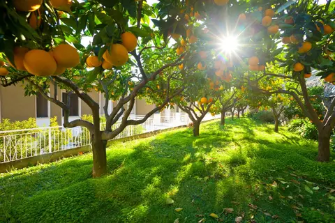 Residence Sant'Anna in Pietra Ligure — foto 4