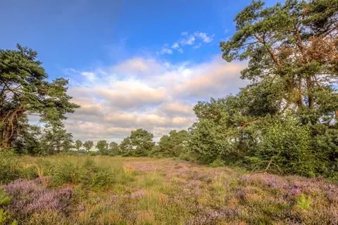 Hofparken De Bergvennen foto 9