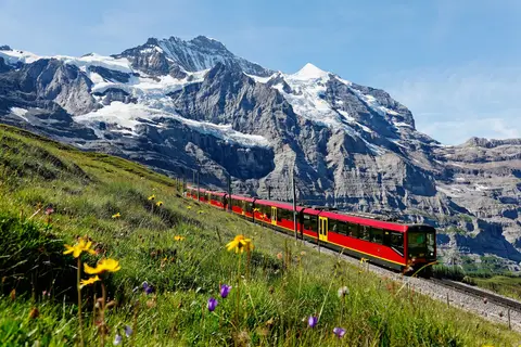 Ontdek de Jungfrau Region vanuit Brienz in Brienz — foto 10