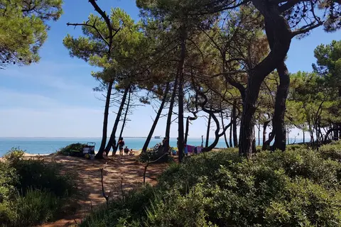 Les Pins D Oléron in Le Grand-Village-Plage, foto 2