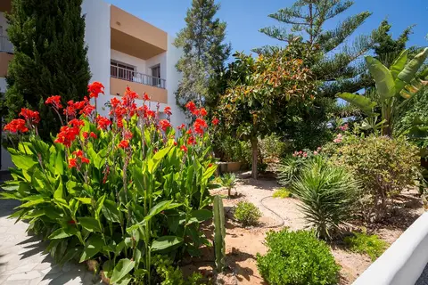 Apartamentos Zodiac in Sant Antoni de Portmany — foto 9