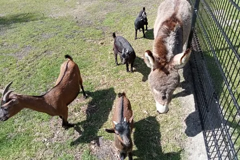 Hub Resorts Drentse Weelde foto 10