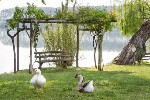 Le Ali del Frassino foto 13