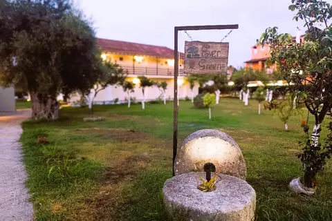 Ever Green in Δημοτική Ενότητα Λευκιμμαίων — foto 7